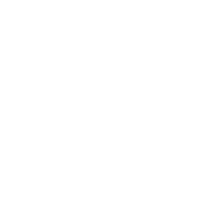 APGNN Logo - Footer Monochrome