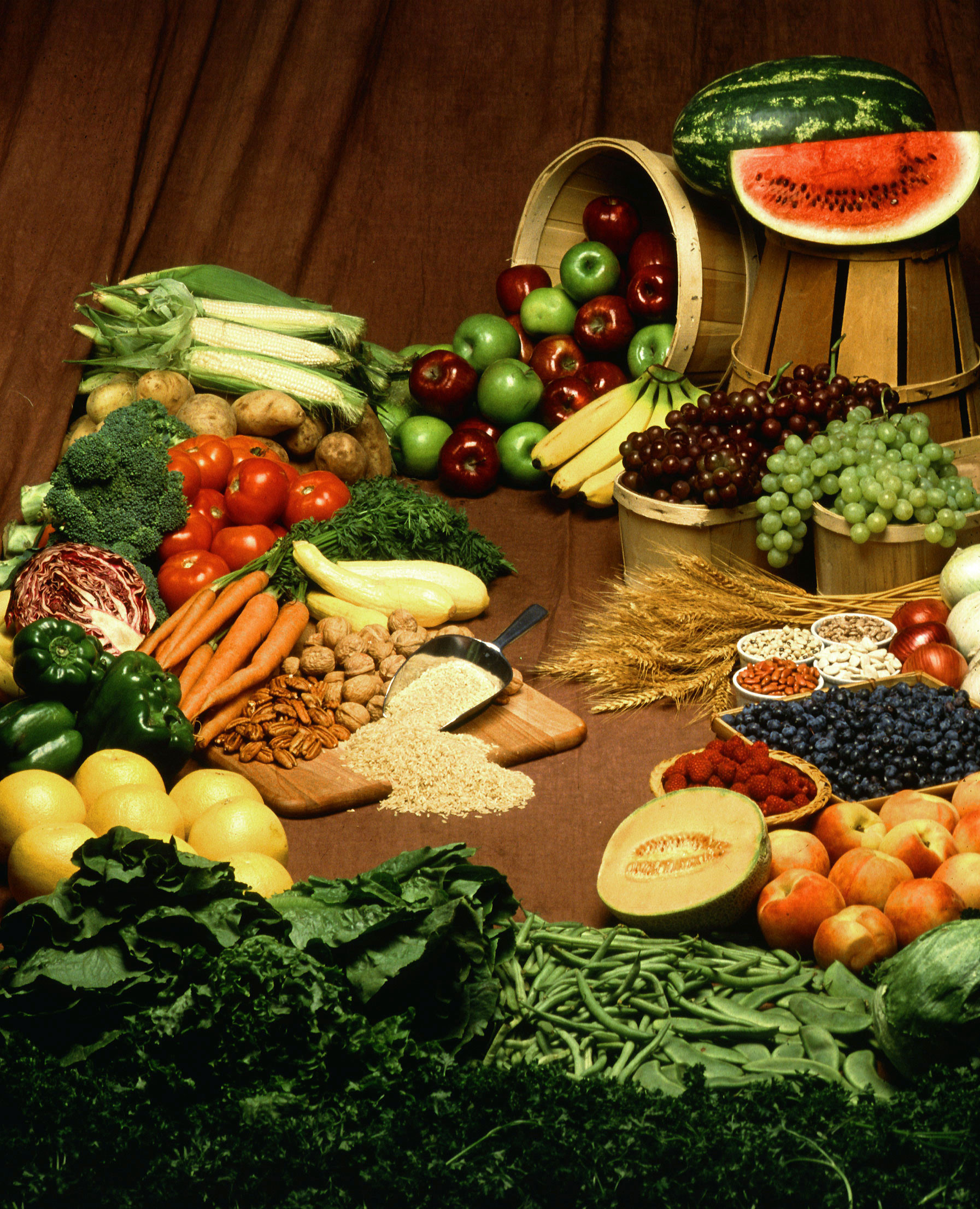 GiKids - Nutrition & Obesity